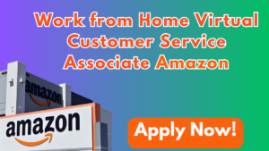 Virtual Customer Service Associate at Amazon