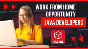 Remote Java Developer at Ciena