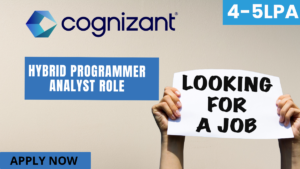 Programmer Analyst Role